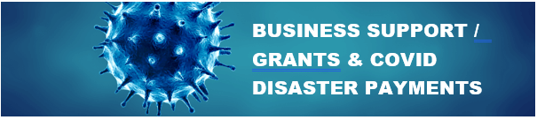 Business Support Grants &amp; COVID Disaster Payments
